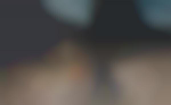 Search Engine-Sourced Photography