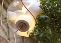 Illuminated Garden Fixtures Image 2