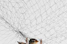 Tangled Bird Portraits
