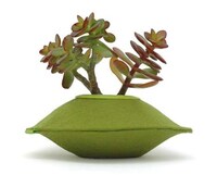 Compact Fuzzy Planters Image 3