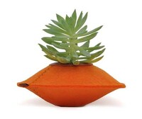 Compact Fuzzy Planters Image 4