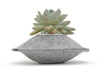 Compact Fuzzy Planters Image 5