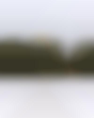 Disappearing People Pictures