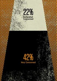Foreign Security Infographics Image 7