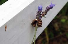 Small Hand Installations