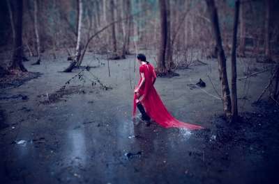 Forest Ballet Editorials