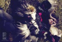 Chromatic Fur-Infused Fashion Image 4
