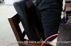 Hair-Raising Furniture