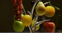 Arboreal Fruit Holders Image 2