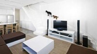Pet-Specific Stairs