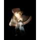 Whimsical Motion Photography Image 2