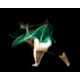 Whimsical Motion Photography Image 7