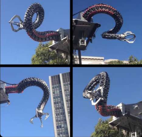 Octopus-Inspired Robotic Arms