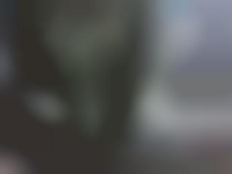 Kitten Predator Captures