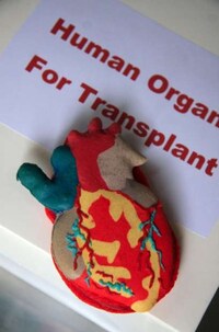 Gory Organ-Shaped Desserts Image 4