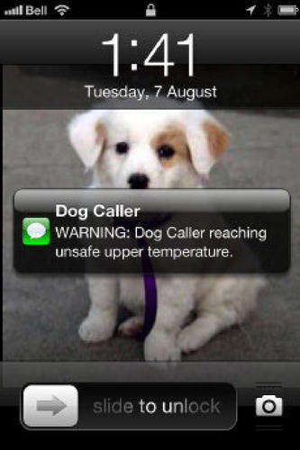 Overheated Pet Warnings