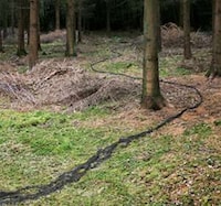 Fabricated Forest Trails Image 6