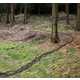 Fabricated Forest Trails Image 6