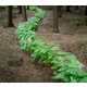 Fabricated Forest Trails Image 7