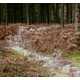 Fabricated Forest Trails Image 8