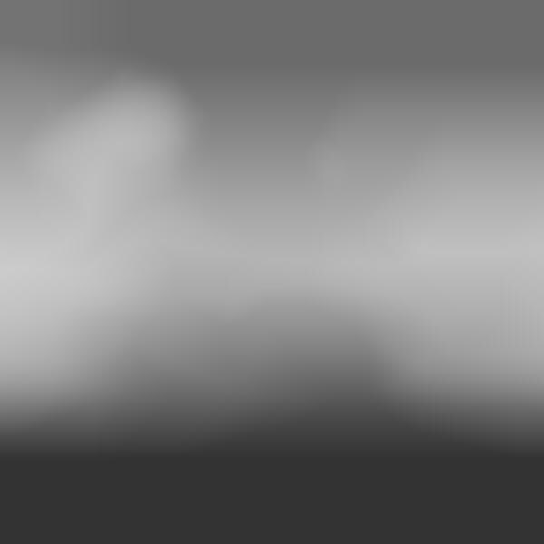 Fantastical Grayscale Photography