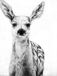 Precise Pencil Portraits