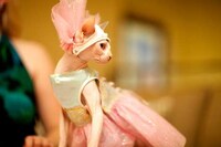 Kitty Costume Catwalks (UPDATE) Image 3