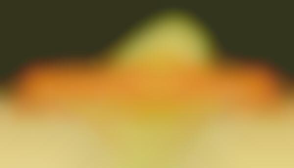 Fruity Visual Graphics