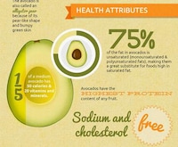 Fruity Visual Graphics Image 3