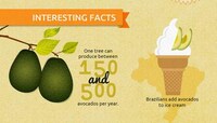 Fruity Visual Graphics Image 4