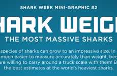 Fierce Aquatic Creature Infographics