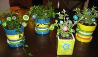DIY Buttoned-Up Plants Image 3