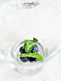 Spiced Fruit Refreshments Image 6