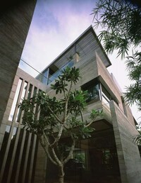 Tree Abodes Image 6