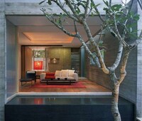 Tree Abodes Image 8