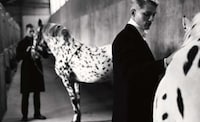 Eloquent Equestrian Editorials Image 6