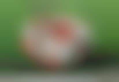 Deflated Television Ads