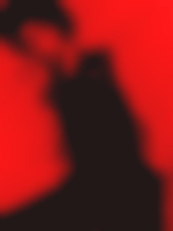 Crimson-Accented Captures