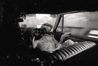 Artfully Deteriorated Photos Image 5