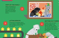 Pet Ownership Advantages Graphs Image 2