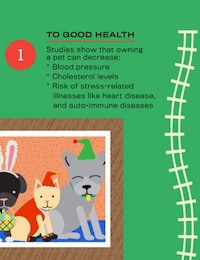 Pet Ownership Advantages Graphs Image 3