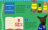 Pet Ownership Advantages Graphs Image 4