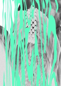 Distorted Text Artwork Image 3