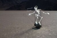 Surreal Skeletal Captures Image 2