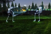 Surreal Skeletal Captures Image 3