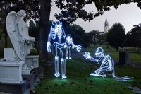 Surreal Skeletal Captures Image 4