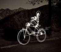Surreal Skeletal Captures Image 5