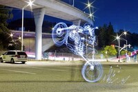 Surreal Skeletal Captures Image 6
