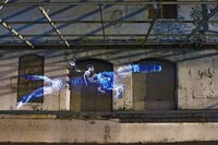 Surreal Skeletal Captures Image 7