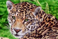 Photoreal Pen Drawings Image 4